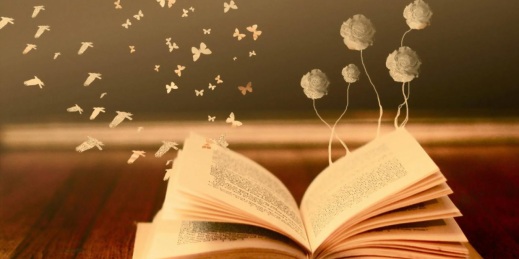 la-piccola-biblioteca-con-le-ali-crescere-leggendo